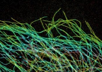 Small molecule drug may improve cancer-killing efficacy of oncolytic virus [PreClinical]