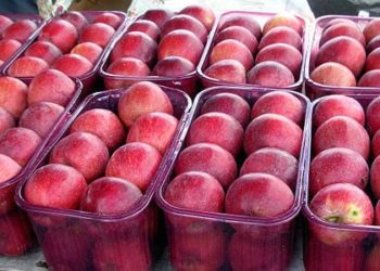 An apple a day may not keep the doctor away