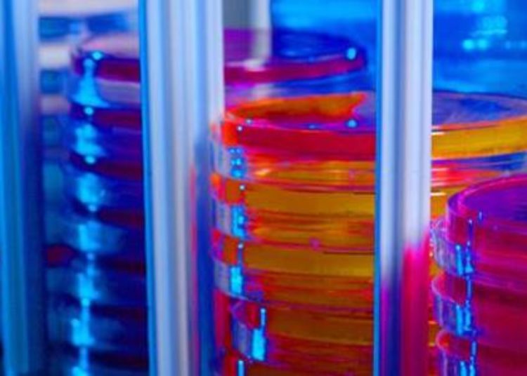 Variation in NICU antibiotic use not linked to outcomes
