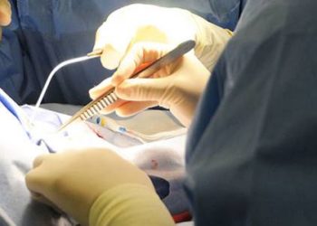 Age not associated with differences in radiosurgical arteriovenous malformation outcomes