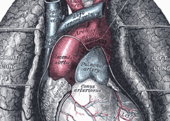 Multiple-electrode switching radiofrequency ablation may successfully treat lung tumors