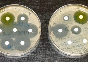 Antibiotic misconceptions persist in Medicaid-insured parents