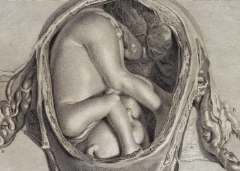 Uterus transplant recipients report good psychological outcomes