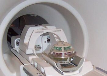 Time from symptom onset may not predict infarct volume in stroke