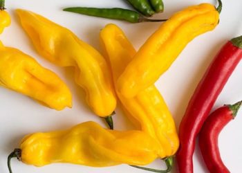 Spicy food consumption linked to a reduction in mortality