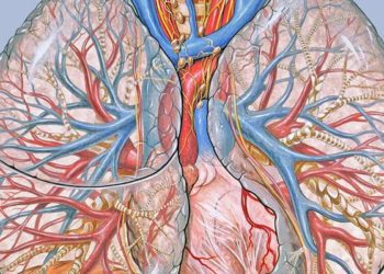 Pulmonary MRI with ultrashort echo time is comparable to pulmonary CT