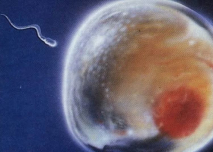 Infertility treatments not associated with increased short-term cancer risk