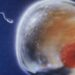 Infertility treatments not associated with increased short-term cancer risk