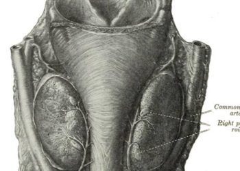 Extensive lymphadenectomy may not increase patient survival with esophageal cancer