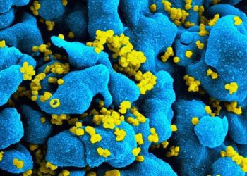 Government-funded initiatives provide important supports to low-income HIV patients
