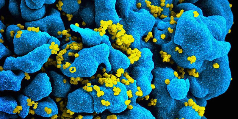 hiv2