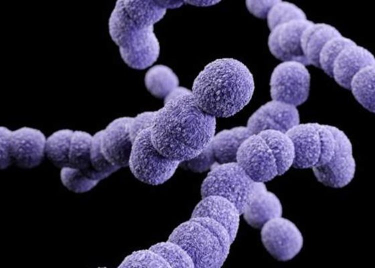 Intrapartum antibiotics associated with altered infant gut microbiome