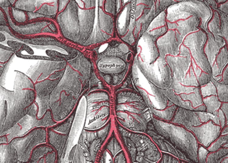 Epileptogenic foci may be lateralized using functional brain glutamate imaging