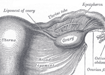 Uterine cavity lavage may detect gynecological malignancies
