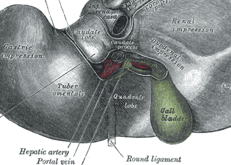 Spleen elastography may be effective in the diagnosis of portal hypertension