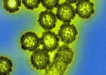 Live attenuated vaccine less effective in recent influenza season