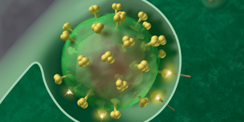 Low-dose hydrocortisone may improve memory in women with human immunodeficiency virus infection