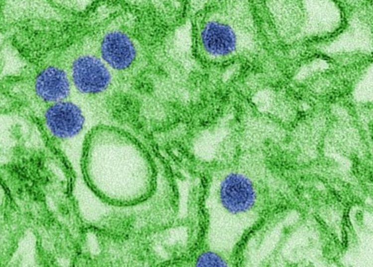 Nanoparticle delivery of aurora kinase inhibitor may improve tumor treatment [PreClinical]