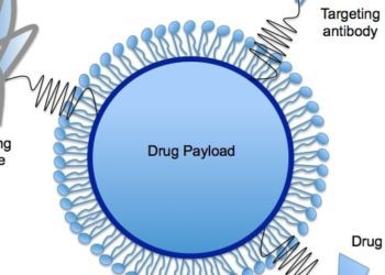 Nanoliposome allows for targeted drug delivery to treat pancreatic cancer [PreClinical]