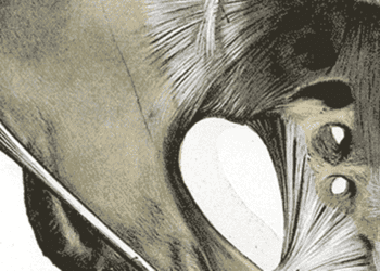 Sacral and coccyx radiographs may have limited diagnostic yield in detecting fractures