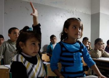 Standardized developmental screening of refugee children is recommended