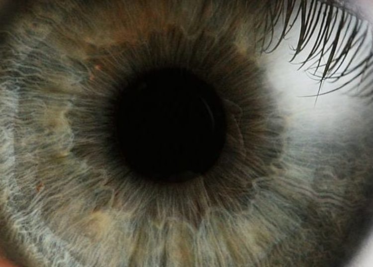 Adalimumab aids in control of noninfectious uveitis