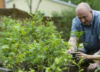 Paternal involvement in early childhood linked to improved developmental outcomes