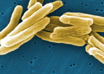 Updated review confirms efficacy and safety of most standard treatments for latent tuberculosis infection