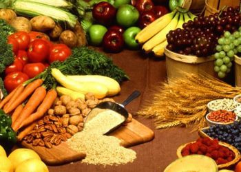 Improved glycemic control in type 1 diabetics on very low-carbohydrate diets