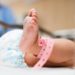 Large proportion of late preterm infants and older admitted to the NICU
