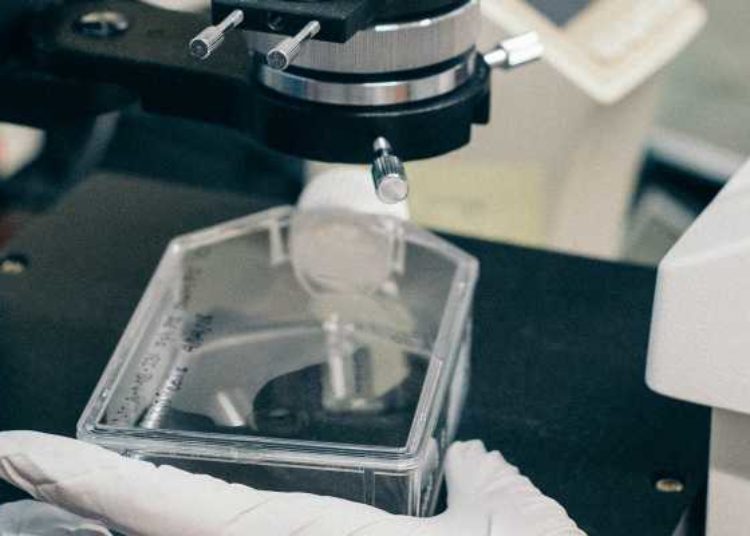 Triple combination regimen appears safe and effective for cystic fibrosis
