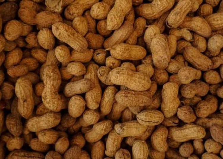 Peanut allergy effectively treated with oral immunotherapy: the PALISADE trial