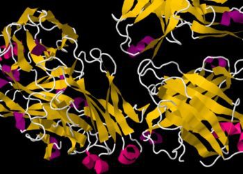 Quick Take: Comparative effectiveness of rituximab, abatacept, and tocilizumab in adults with rheumatoid arthritis and inadequate response to TNF inhibitors: prospective cohort study