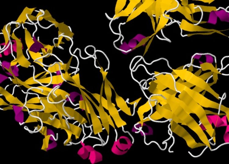 Quick Take: Comparative effectiveness of rituximab, abatacept, and tocilizumab in adults with rheumatoid arthritis and inadequate response to TNF inhibitors: prospective cohort study