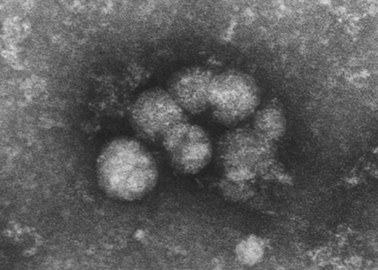 Quick Take: Opioid agonist treatment dosage and patient-perceived dosage adequacy, and risk of hepatitis C infection among people who inject drugs
