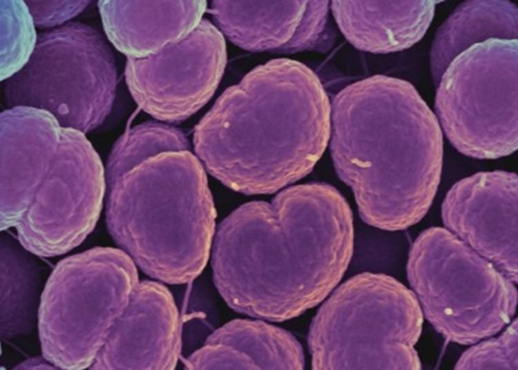 Quick Take: Gentamicin compared with ceftriaxone for the treatment of gonorrhoea (G-ToG)