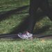 Increased number of daily steps linked with decreased mortality in older women