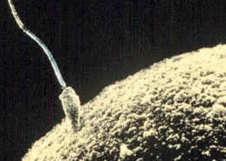 Challenges and feasibility of fertility preservation in feminizing transgender youth