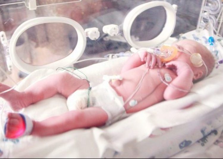 Racial, ethnic differences in outcomes of extremely preterm infants decreasing but persistent