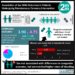 #VisualAbstract: Association of Sex With Outcomes in Patients Undergoing Percutaneous Coronary Intervention