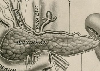 Rectal indomethacin dose escalation for prevention of pancreatitis after endoscopic retrograde cholangiopancreatography in high-risk patients