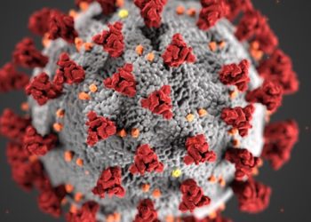 Novel coronavirus identified from patients with pneumonia in Wuhan, China
