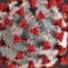 Novel coronavirus identified from patients with pneumonia in Wuhan, China