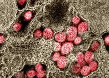 Initial data on the viability of SARS-CoV-2 in aerosol and on surfaces