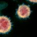 SARS-CoV-2 detected on various surroundings of asymptomatic COVID-19 positive infant