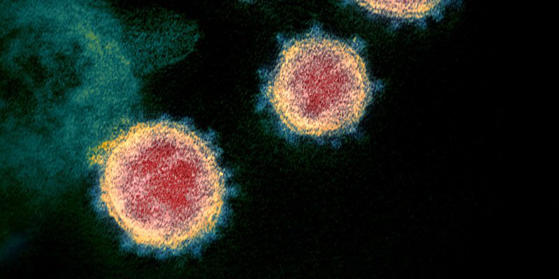 Novel_Coronavirus_SARS-CoV-2
