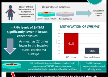 SHISA3 is epigenetically silenced and its ectopic expression suppresses growth in breast cancer