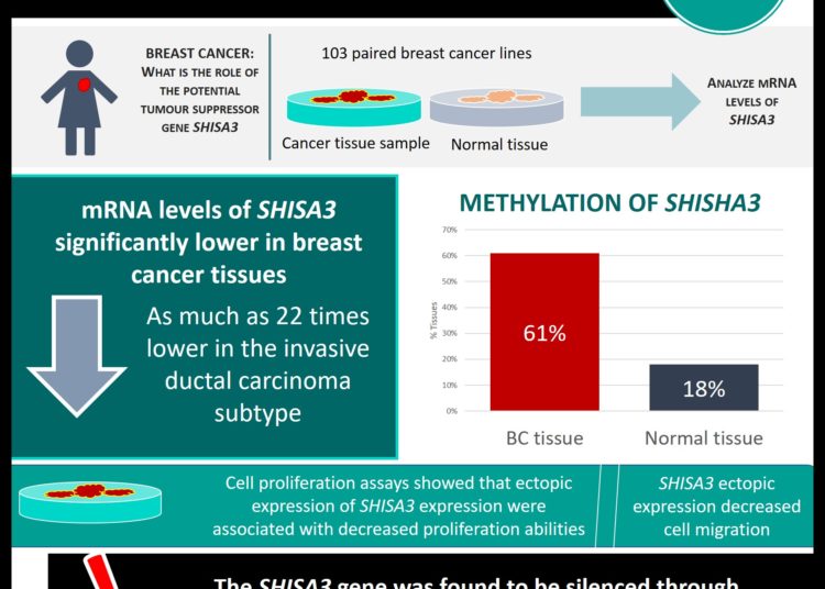SHISA3 is epigenetically silenced and its ectopic expression suppresses growth in breast cancer