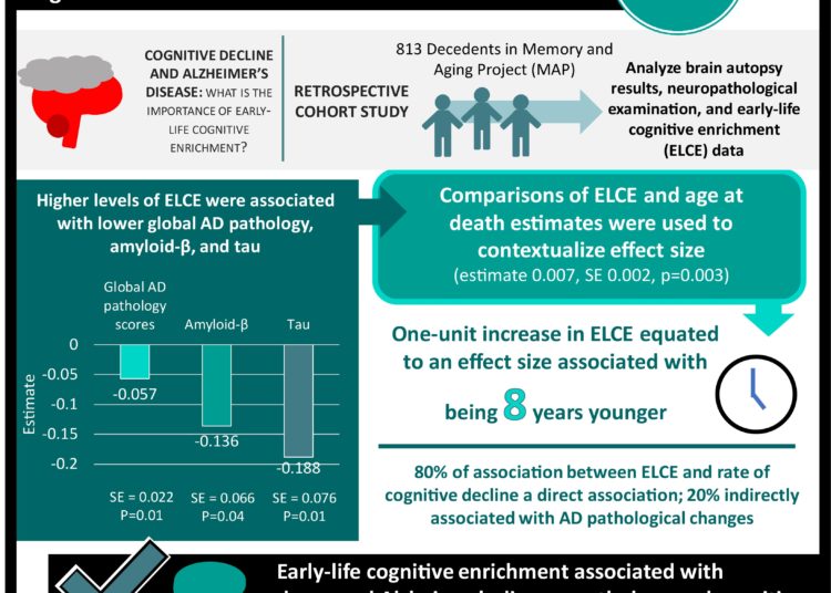 Early life cognitive enrichment associated with decreased Alzheimer’s pathology and cognitive decline