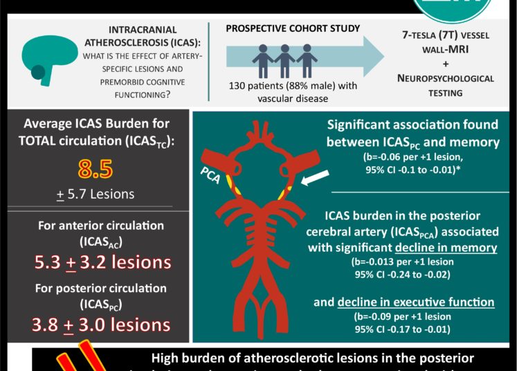 Intracranial atherosclerosis on 7T MRI and cognitive functioning – the SMART-MR study